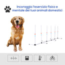 Set Addestramento Cani da Esterno con 6 Pali e Borsa di Trasporto Bianco