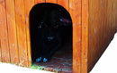 Cuccia per Cani Taglia Grande 90x130x95 cm in Legno Naturale 