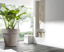 Vaso in Polietilene Standard One Cappuccino Varie Misure