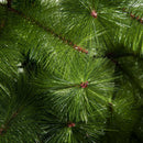 Albero di Natale Artificiale 210 cm 505 Rami Foltissimo Verdi 