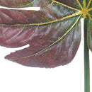 Set 6 Foglie di Aralia Artificiale Altezza 79 cm Verde