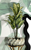 Cachepot Perly Ø43x16 cm in Ceramica Perla      