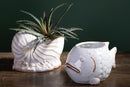Set 2 Vasi Pesci 23x14 H 12,5 cm 