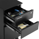 Cassettiera da Ufficio 45x30x60 cm Mobiletto per Documenti con Serratura Asta per Schedario Nero      