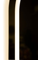 Specchio da Muro LED Simple Ovale 60x3,5x80 cm in Specchio Argento      