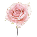 Set 12 Pick Rosa Ø10 cm Rosa