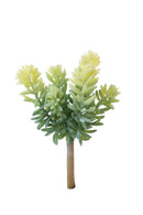 Set 6 Rami Artificiali Grassa a 6 Diramazioni H 185 cm