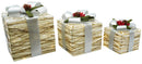 Set 3 Pacchi di Natale con LED in Plastica Bianco e Argento