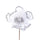 Set 12 Pick Catleia H15 cm Bianco