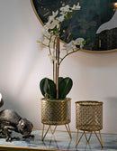 Porta Vasi Ceci Coppia Ø16x20 cm - Ø13x20 cm in Ferro Oro      