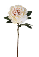 Set 4 Peonia Artificiale anticata Singola Altezza 72 cm 