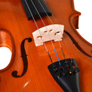 Violino 4/4 per Adulti con Custodia e Accessori  