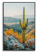 Stampa su Tela Laccata con Cornice Cactus 60x4x90 cm in Pino e Tela e Plastica      
