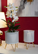 Porta Vasi Gaspy Coppia Ø16x20 cm - Ø13x20 cm in Ferro Oro e Bianco      