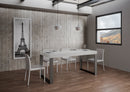 Tavolo 160x90x77 cm Tecno fix Bianco Frassino