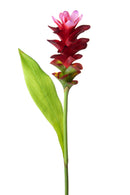 Set 4 Fiori Artificiali Tiny Fiore con Foglia 74 cm 