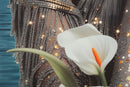 Stampa con LED su Tela Laccata con Cornice Venus 70x4x100 cm in Abete e Tela e Plastica      