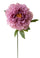 Set 6 Fiori Artificiali Peonia 65 cm