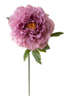 Set 6 Fiori Artificiali Peonia 65 cm 