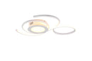 Plafoniera da Interno a LED in Metallo Bianco Opaco