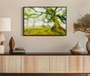 Stampa su Tela Laccata con Cornice Foresta 90x4x60 cm in Pino e Tela e Plastica      