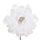 Set 12 Pick Peonia Ø14 cm Bianco