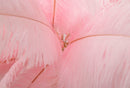 Lampada da Terra Palm Rosa Ø55x160 cm in Ferro e Plastica Rosa e Oro      