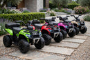 Quad Elettrico per Bambini Safari 6V con Bauletto Posteriore Verde
