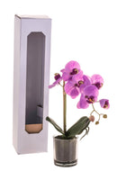 Set 2 Pianta Artificiale di Phalaenopsis Artificiali con Vaso Altezza 38 cm Rosa
