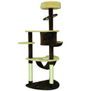 Albero tiragraffi per gatti Crema e Caffè 65x50x153 cm 