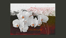 Fotomurale - Diario E Orchidea Carta Da Parato Erroi