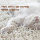Cuccia in PVC Effetto Rattanper Gatti 66x48x39 cm con Cuscino  Corda