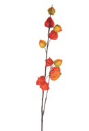 Set 3 Rami Artificiali con Foglie di Physalis 