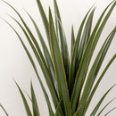 Pianta Artificiale di Yucca Alta 190 cm con 39 Foglie in Vaso Contenitore di PEVA e Cemento Nero      