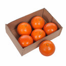 Set 2 Arancio Artificiali Tarocco 6 Pezzi Larghezza 8,4 cm 
