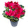 Set 2 Ciclamino Artificiale con Vaso Altezza 32 cm