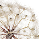 Set 2 Fiori Artificiali di Dandelion Altezza 92 cm 