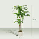 Pianta Artificiale di Dracena Alta 120 cm in PEVA  Verde e Legno con Vaso Contenitore in PP e Cemento Bianco      