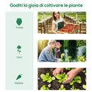 Serra da Giardino Verticale 80x50x160 cm con 4 Ripiani in Metallo e Copertura in PE Bianco      