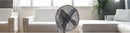 Ventilatore da Tavolo 30cm Oscillante 3 Velocità  35W Kooper Eolo Fumè