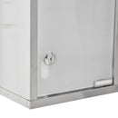 Armadietto per Medicinali 20x12x58 cm 3 Ripiani in Acciaio e Vetro  Argento
