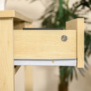 Consolle Ingresso 2 Cassetti 100x30x76 cm in Legno Naturale