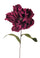 Set 2 Fiori di Peonia Artificiale Artificiale Altezza 74 cm Marrone/Ciliegia/Bordeaux