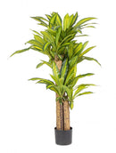 Set 2 Piante Artificiali Dracaena Ø100x130 cm in Plastica con Vasi Verde