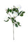 Set 6 Rami Artificiali Camelia per 3 75 cm