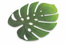 Set 6 Tovagliette Foglie Tropicali Villa d'Este Home Tivoli Jungle Slim