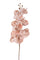 Set 6 Fiori Phalenopsis Br/Gold H81 cm Cipria