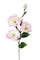 Set 12 Rami Artificiali Lisianthus con 5 Fiori 72 cm
