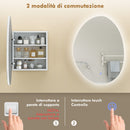 Armadietto da Bagno con Specchio a LED 50x14x70 cm Anti-Appannamento Illuminazione Dimmerabile 3 Colori Bianco      
