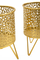 Porta Vasi Piny Coppia Ø16x20 cm - Ø13x20 cm in Ferro Oro      